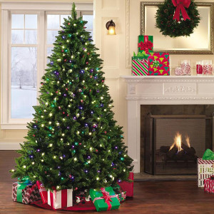 Vianočný stromček živá jedlička