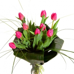 tulipany-1