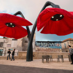 sochy červené kvety Jeruzalem